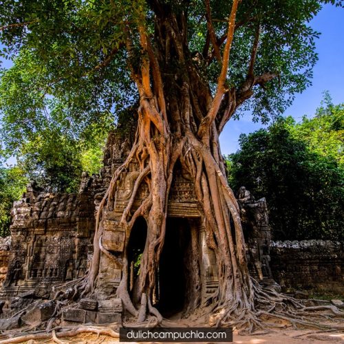 Tour Campuchia Siem Reap – Angkor Wat- Phnom Penh 4N3Đ