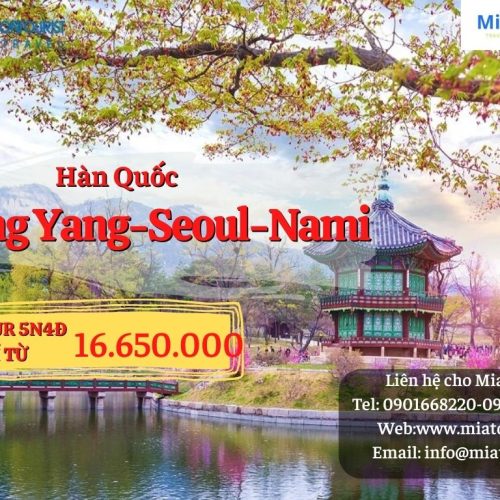 Hàn Quốc miễn visa_Yang Yang – Seoul – Nami 5N4Đ