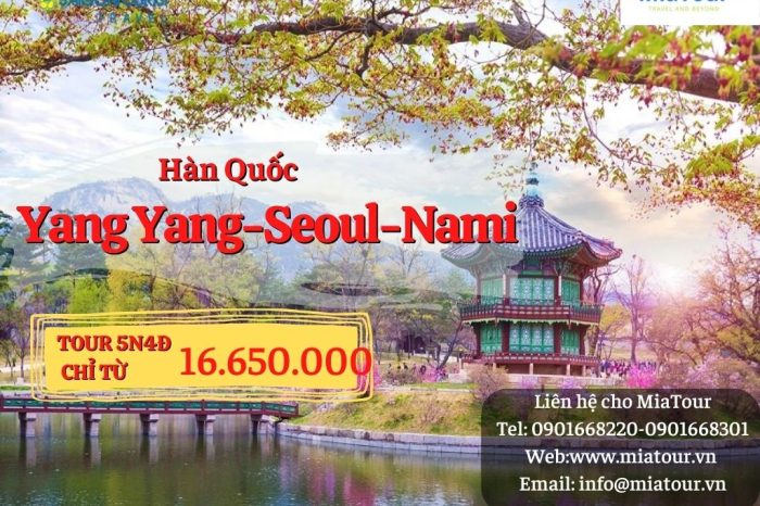 Hàn Quốc miễn visa_Yang Yang – Seoul – Nami 5N4Đ